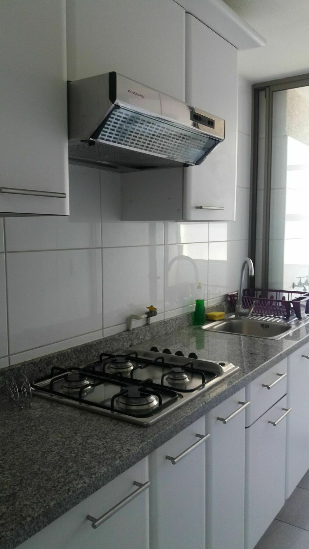 Design Apart Santiago del Cile Esterno foto
